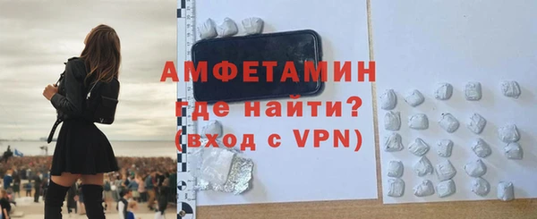сатива Новозыбков