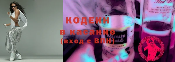 сатива Новозыбков