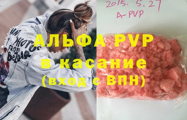 сатива Новозыбков
