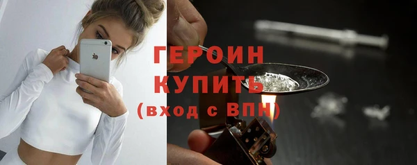 сатива Новозыбков