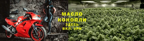 сатива Новозыбков