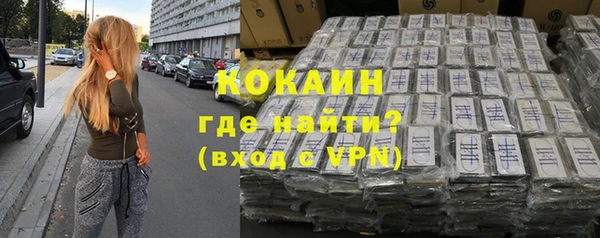 сатива Новозыбков