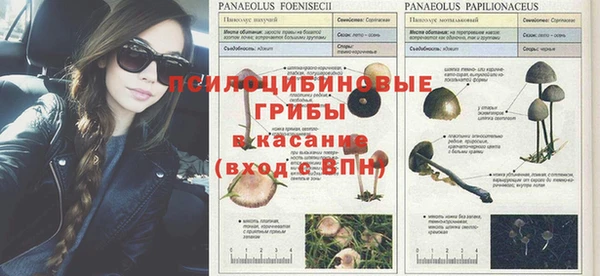 дмт Новокубанск