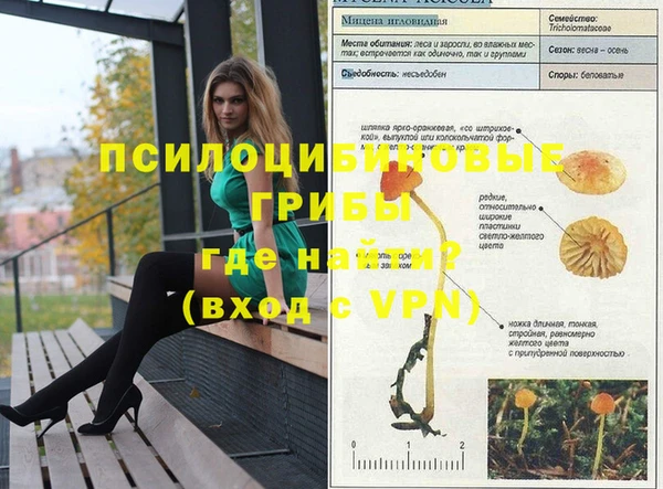 дмт Новокубанск