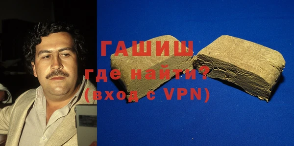 сатива Новозыбков