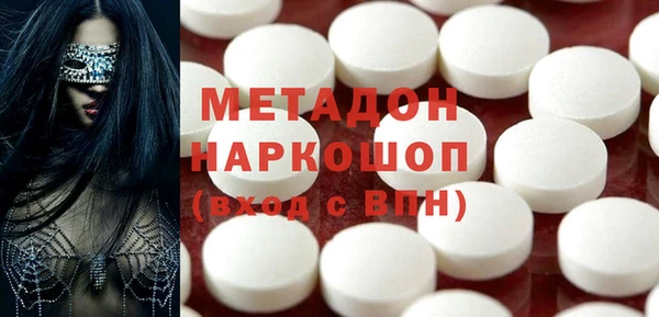 сатива Новозыбков