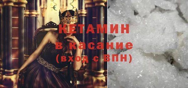 сатива Новозыбков