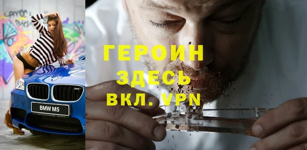 сатива Новозыбков