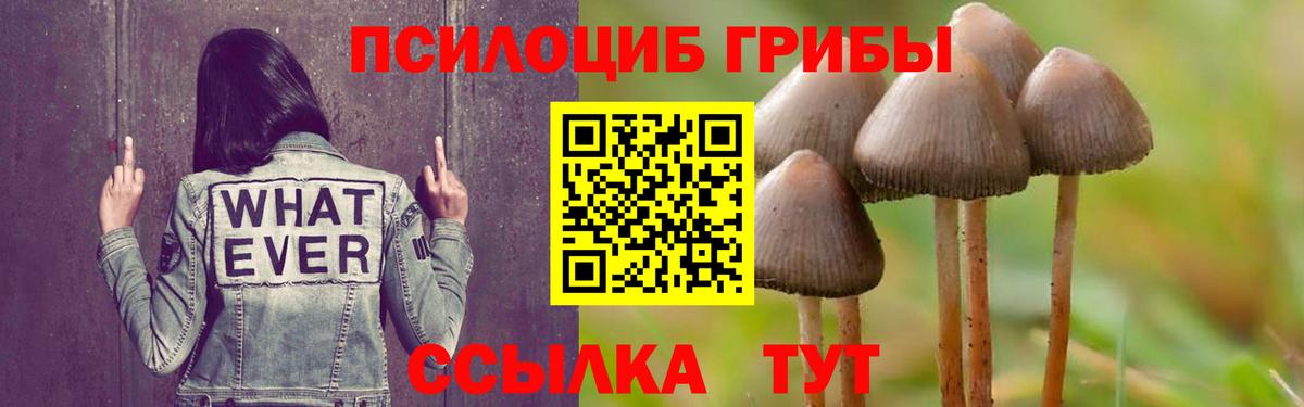 Чистополь  Галлюциногенные грибы мицелий  Вход с VPN 